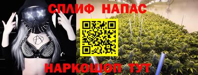 мяу мяу мука Будённовск