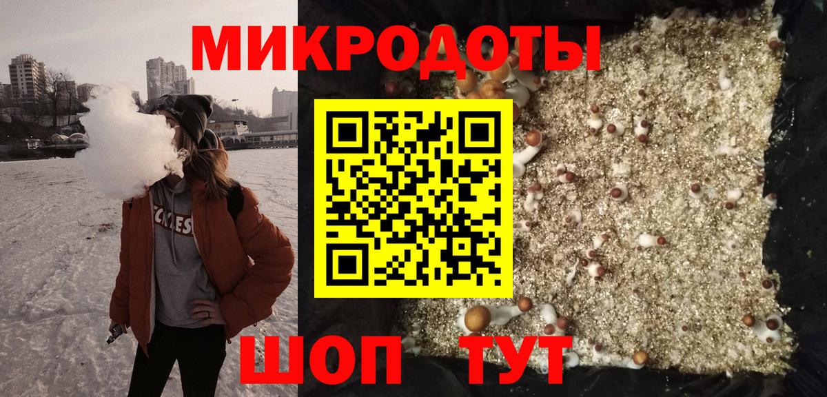 Сальск  Псилоцибиновые грибы Magic Shrooms  сколько стоит  Галлюциногенные грибы Psilocybe  Вход с VPN 