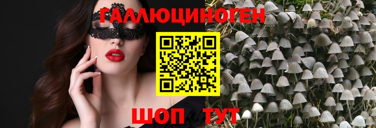 Псилоцибиновые грибы ЛСД Сальск